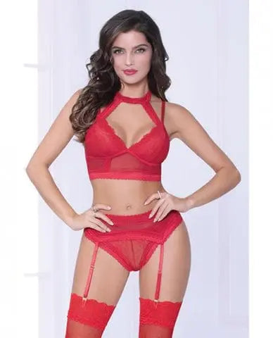 Lace & Netting Long Line Bra, Garter Belt & Open Crotch Thong Red 1x/2x Hugz and Kizzez Lace & Netting Long Line Bra, Garter Belt & Open Crotch Thong Red 