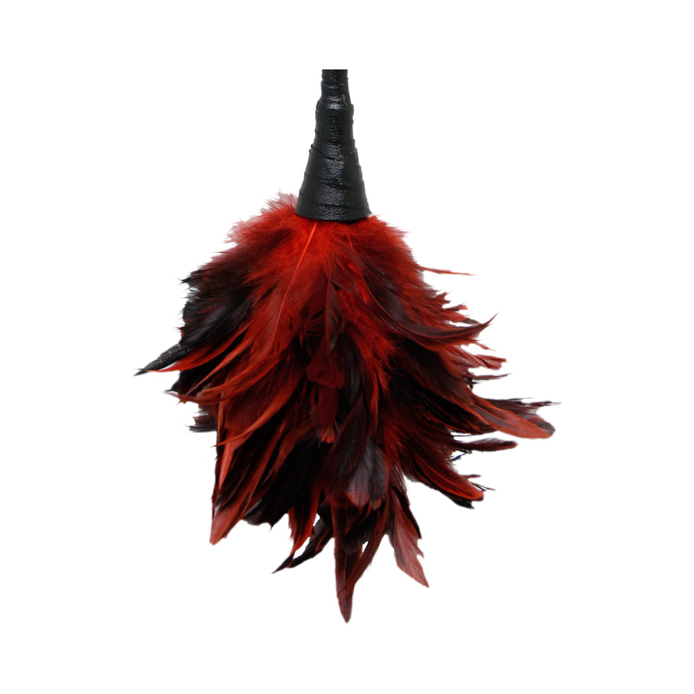 Fetish Fantasy Frisky Feather Duster