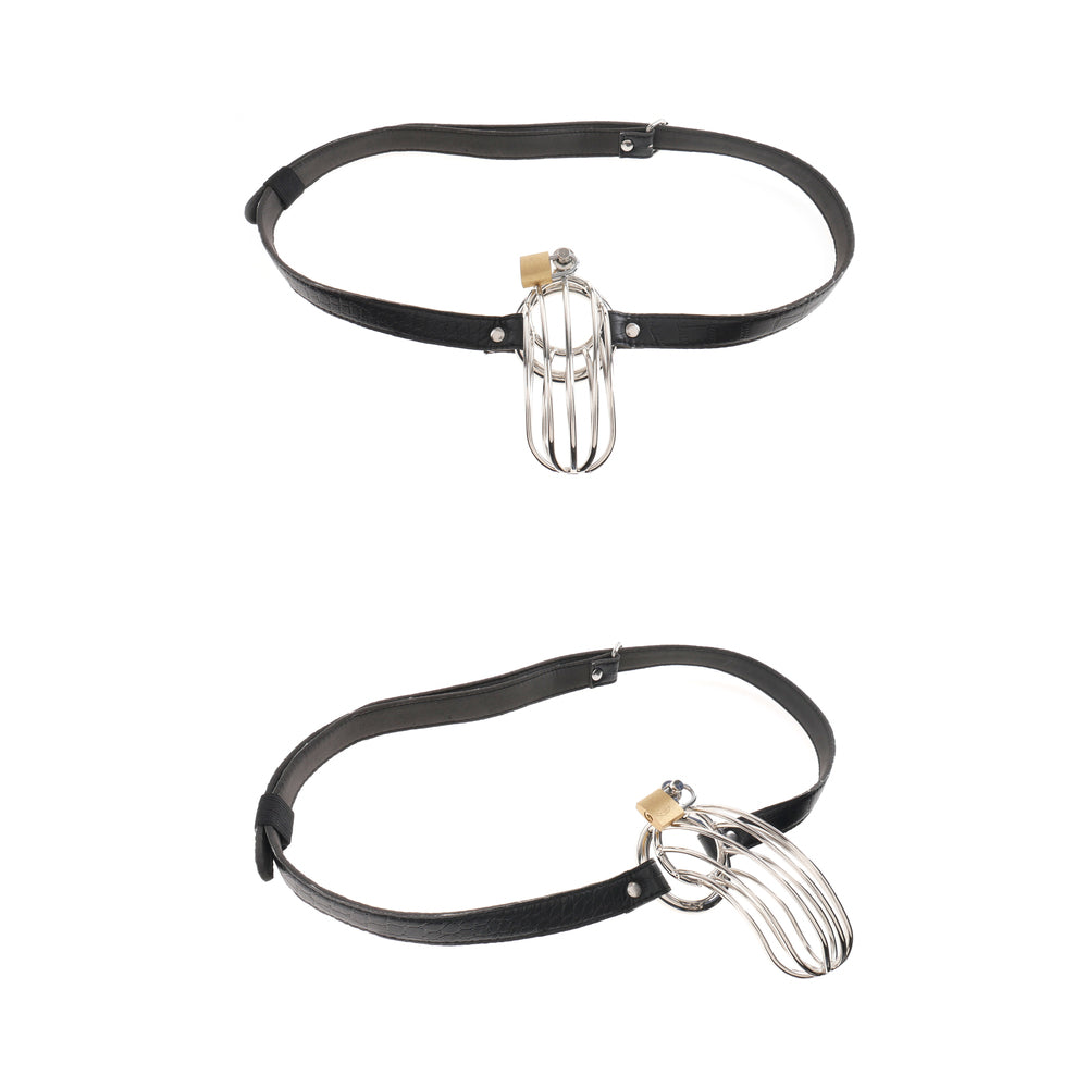 Fetish Fantasy The Prisoner Black Cock Cage